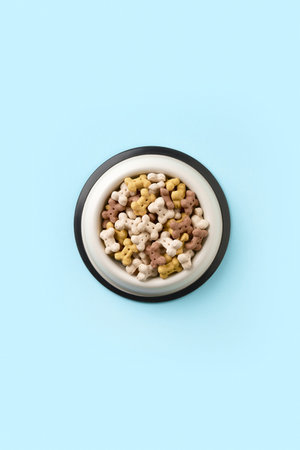 Dry dog food in bowl on blue background