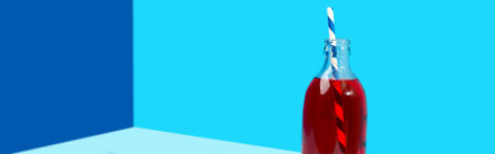 Refreshing cranberrie lemonade cocktail in bottle with palm leaf on blue creative backgroundの写真素材