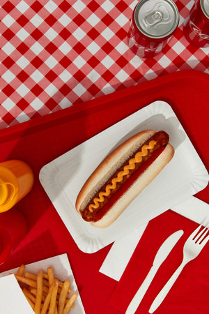 KIEV, UKRAINE - SEPTEMBER 14, 2021. Traditional hot dog, french fries, drink and sauces. Restaurant menuのeditorial素材