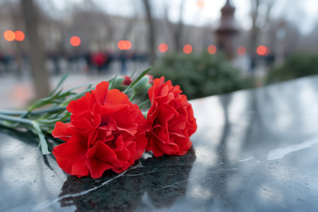 Two red carnations on a black granite monument in the cemeteryの素材