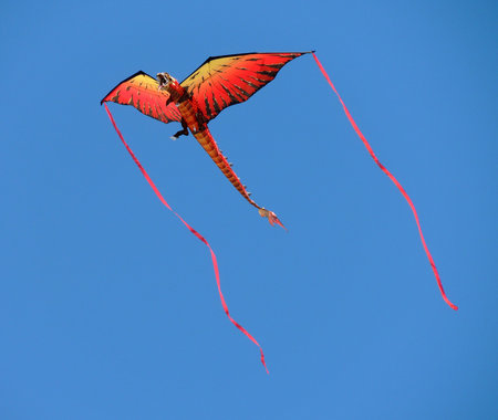 Dragon kite unbound against a clear blue sky.の写真素材