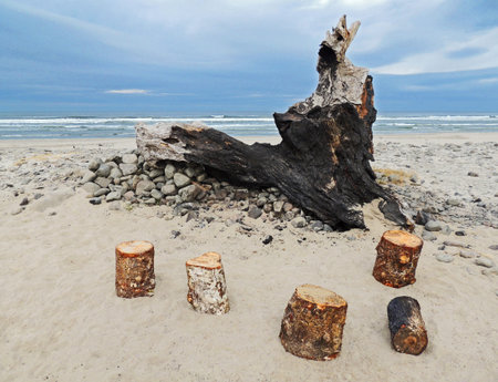 Log stools in front of the remains of a burnt piece of driftwood shaped like a spirit crying into the sky.の写真素材
