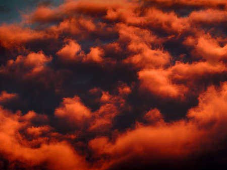 An unusual nest of fluffy clouds colored orange by the sunset.の写真素材