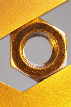 nut, golden の写真素材