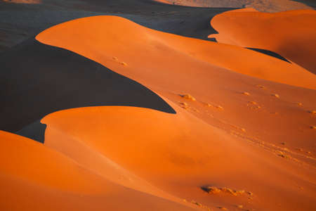 Desert landscape, Sossusvlei, Namibia, southern Africaの写真素材