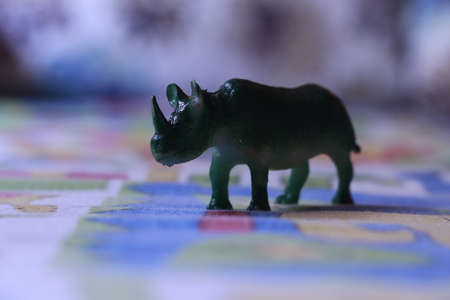 rhino model concept toy on colorful backgroundの写真素材
