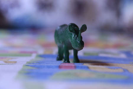 rhino model concept toy on colorful backgroundの写真素材