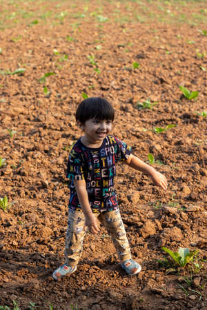 Indian cute baby boy in farmの写真素材