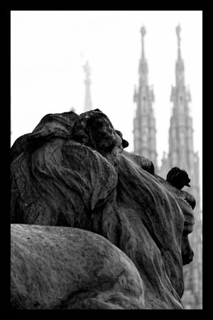 Leo and Guglie Milanの写真素材