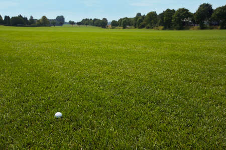 single golf ball at front of very large lawnの写真素材