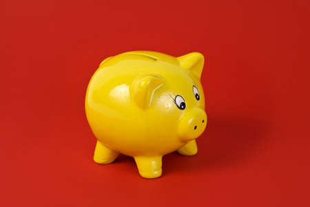 yellow ceramic piggy bank on red backgroundの写真素材
