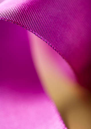 close-up of purple ribbon bowの写真素材