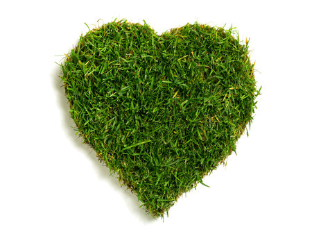 lawn sod in heart shape, isolated on whiteの写真素材