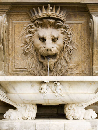 fountain at the Palazzo Pitti, Florence, sculpted as a lion's head with a marble basinの写真素材