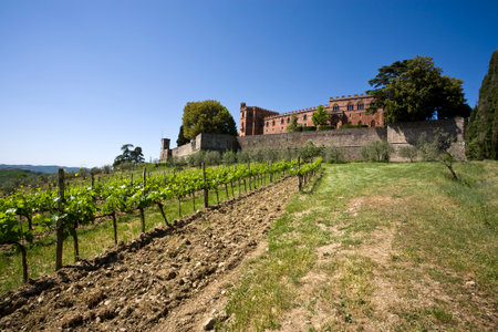 castello di brolio with vineyardのeditorial素材
