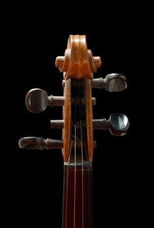 pegbox, pegs, scroll of old violin, black background