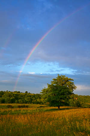 rainbow over landscape in the Auvergne, tree in foregroundの写真素材