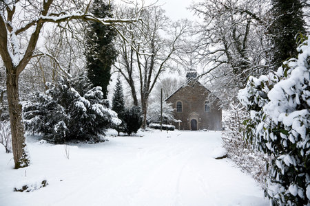 small church in snowy forestの写真素材