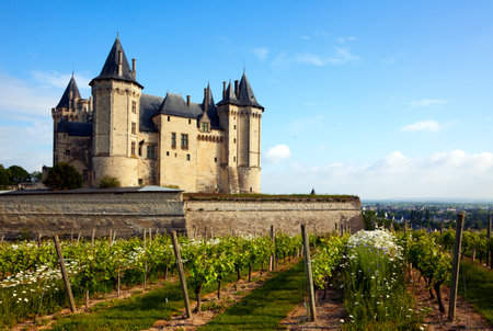 Saumur castle in the Loire Valley, vineyards in frontのeditorial素材