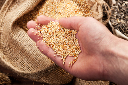 hand taking millet and other grains from burlap sack