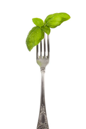 Basil leaves with water drops on silver fork isolatedの写真素材
