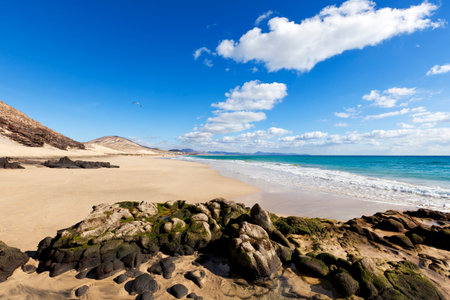 The beach of Esquinzo at Fuerteventura