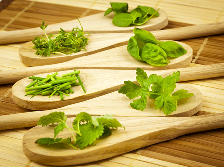 Heaps of herbs on wooden kitchen spoonsの写真素材