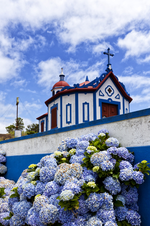 Hydrangea flowers in front of the chapel on top of Monte Santo at Agua de Pau, Sao Miguel island, Azoresの写真素材