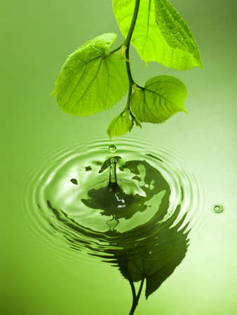 dew drops falling from leaf into waterの写真素材