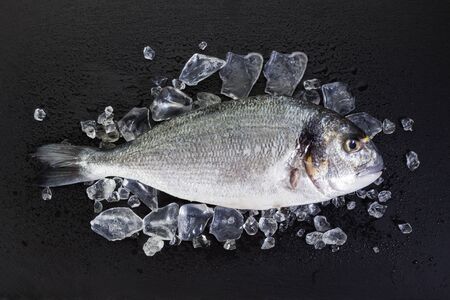 Raw Dorade on slate with crushed ice and water dropsの写真素材