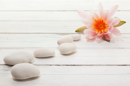 Path of white pebbles leading to a beautiful water lilyの写真素材