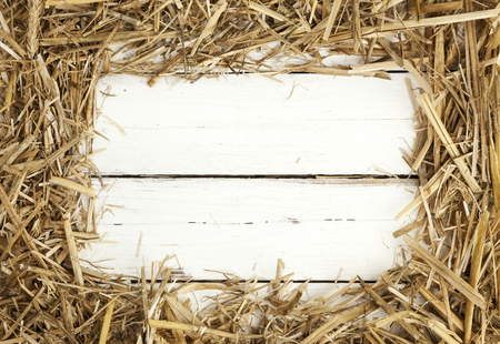 Rustic frame of hay on white painted wooden backgroundの写真素材