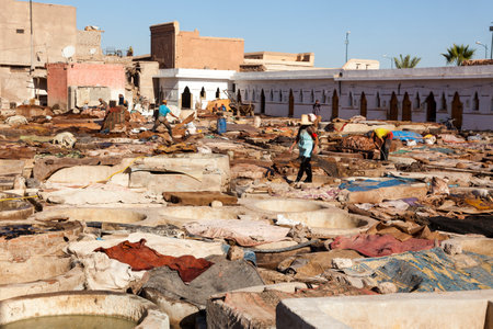 Marrakesh, Morocco - November 9, 2015: Workers at the large tannery cooperative of marrakesh handling cow, goat and camel hides.のeditorial素材
