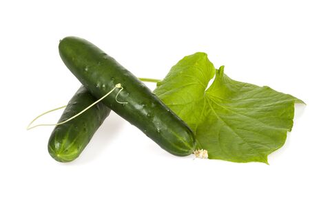 Two fresh cucumbers with leaf and vine isolated on white backgroundの写真素材