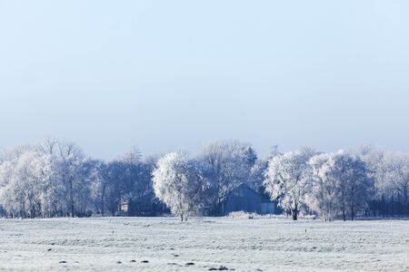 Farm in winter surrounded by frost covered treesの写真素材