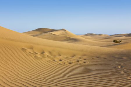 Dunes at Maspalomas, Grand Canary, Canary Islandsの写真素材