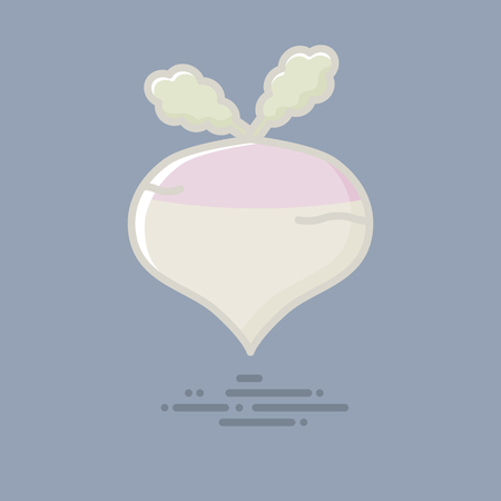 Turnip filled line icon. Healthy vegetable vector symbol.のイラスト素材