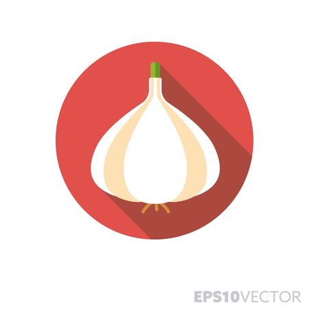 Garlic bulb flat design round icon. Color symbol of spices and seasoning. Long shadow vector illustration in a circle isolated on white background.のイラスト素材