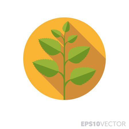 Peppermint plant flat design round icon. Color symbol of herbs and food ingredients. Long shadow vector illustration in a circle isolated on white background.のイラスト素材