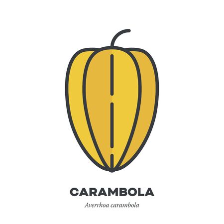 Carambola fruit icon, outline with color fill style vector illustration, whole starfruitのイラスト素材