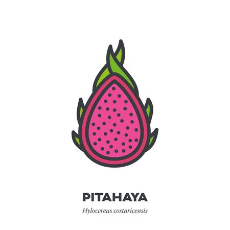 Pitahaya or dragon fruit icon, outline with color fill style vector illustration, cross-section of pink fruitのイラスト素材