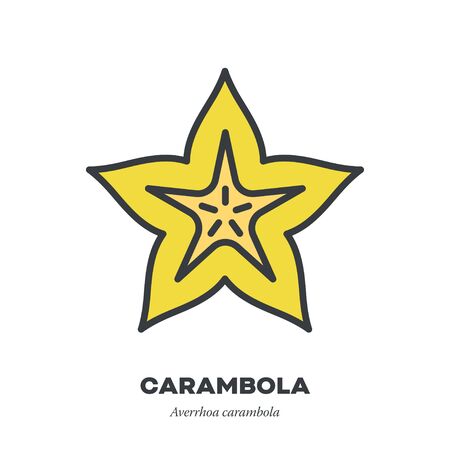 Carambola fruit icon, outline with color fill style vector illustration, cross-section of starfruitのイラスト素材