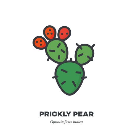 Prickly pear fruit icon, outline with color fill style vector illustration, cactus with three fruitのイラスト素材