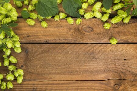 Hops vine with cones and leaves border on rustic wooden background with copy spaceの写真素材