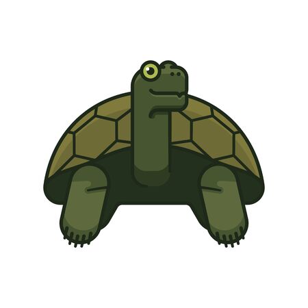Giant Galapagos Tortoise vector illustration for Darwin Day on February 12th. Endemic turtle species isolated color symbol.のイラスト素材
