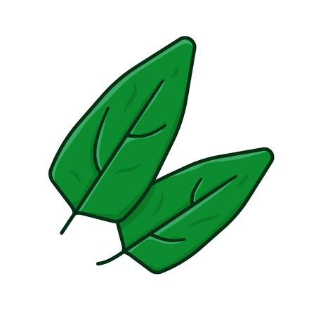 Spinach leaves vector illustration for Spinach Day on March 26th. Leaf vegetable color symbol.のイラスト素材