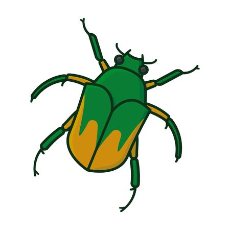 Junebug or June Beetle isolated vector illustration for Junebug Day on June 7th. Cotinis nitida color symbol.のイラスト素材