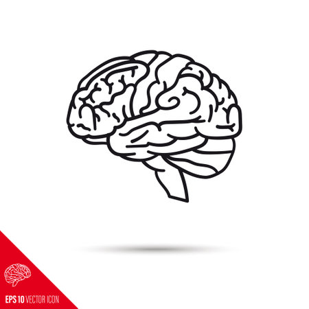 Human brain vector line iconのイラスト素材