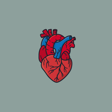 Human heart vector illustration for Heart Day on September 29のイラスト素材