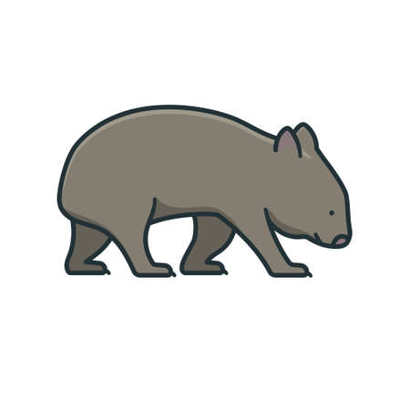Wombat isolated vector illustration for Wombat Day on October 22のイラスト素材